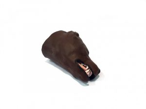 Canine Intubation Model - Image 3