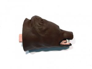 Canine Intubation Model - Image 6