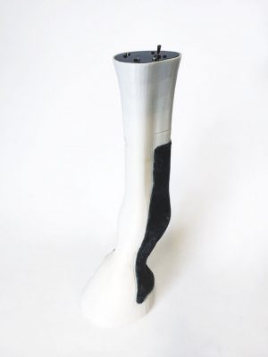 Equine Nerve Block Trainer - Image 2