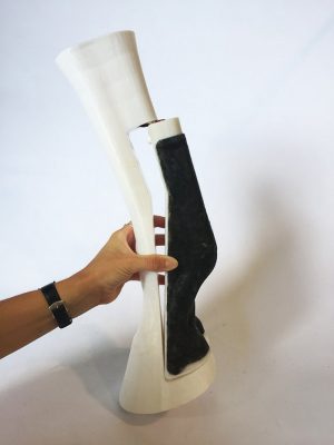Equine Nerve Block Trainer - Image 5