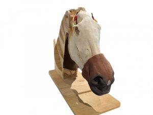 Nasogastric Equine Intubation Model - Image 2