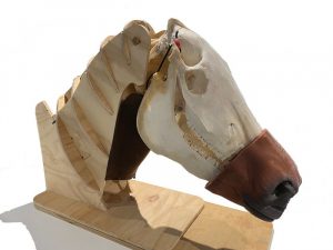Nasogastric Equine Intubation Model - Image 3