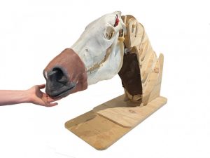 Nasogastric Equine Intubation Model - Image 4