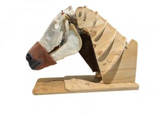 Nasogastric Equine Intubation Model - Image 7