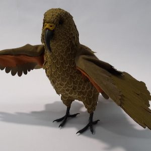 Bird Bandaging Model