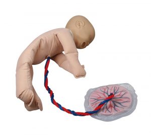 Fetal Doll with Placenta