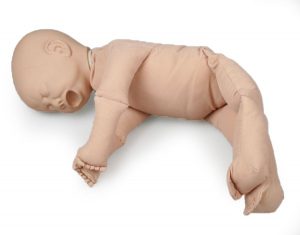Fetal Doll without Placenta