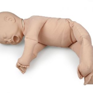 Fetal Doll without Placenta