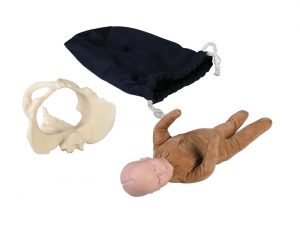 Miniature Pelvis with Fetal Doll