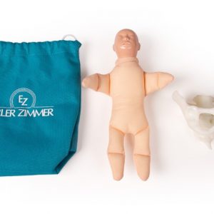 Miniature Pelvic Model with a Birthing Doll
