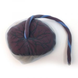 Fabric Placenta and Umbilical Cord - Image 2