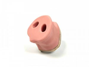 A Model for Learning Pig Ear Tagging and Harnessing - Image 3