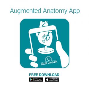 Three Times Enlarged Heart Model 2 Parts  Augmented Anatomy - Image 3