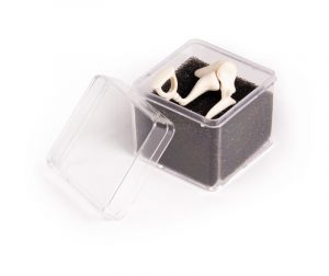 Three Times Enlarged Auditory Ossicles