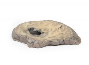 Cerebral Haemorrhage - Image 2