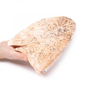 Right Lung Miliary Tuberculosis - Image 4