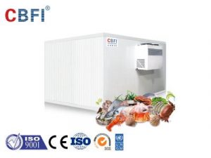 CBFI Blast Freezer