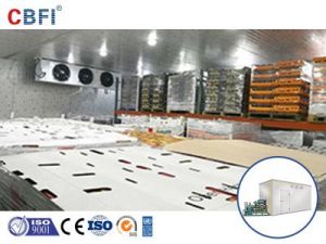 CBFI Cold Storage Room For Meat And Fish