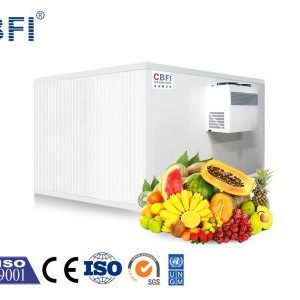 CBFI Intelligent Cold Room Units