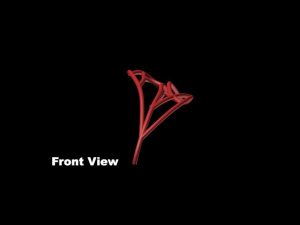 Complex Blood Vessel - Image 3