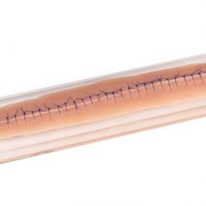 Surgical Wound with Suture 22cm