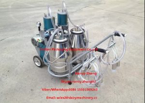Automatic Milking Piston Cow Mobile Milking Machine For Two Cows Milking_1