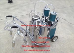 Dairy Cows Mobile Milking Machine Piston Pump Type 750w Power - Image 4