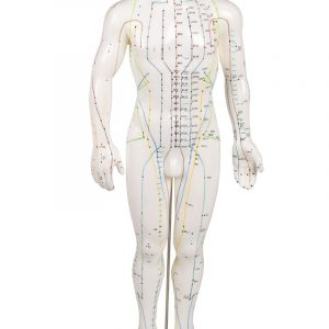 Chinese Acupuncture Figure Male MA03000
