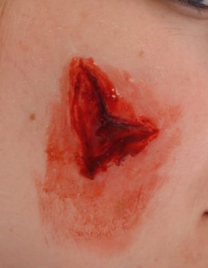 EZ Wounds Professional Wound Simulation Set - Image 3