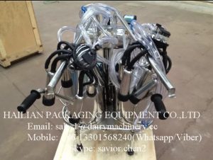 Cow Milking Machine With Gasoline Engine and Electric Motor For Dairy Farm_4