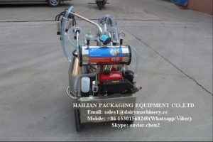 Surge Vacuum Mobile Milking Machine For Cow , Single or Double Bucket_1
