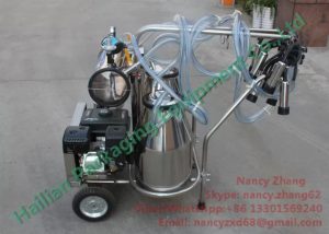 Two Inox Buckets Gasoline Vacuum Milking Equipment for Dairy Cattles Milking_2