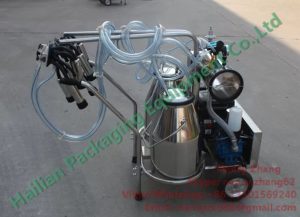 Two Inox Buckets Gasoline Vacuum Milking Equipment for Dairy Cattles Milking_4