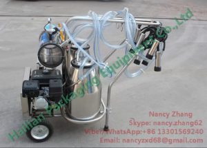 Gasoline Engine Milk Suction Machine for Milking Sucking Vacuum Pump Type_4