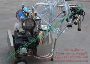Dairy Milking Petrol Cow Mobile Milking Machine with Two Milk Buckets_1